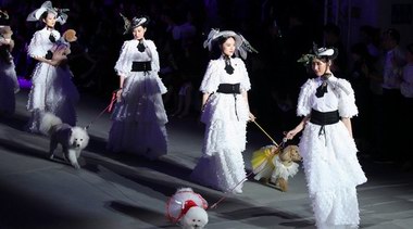 刷爆朋友圈的「曼諾.比菲」時裝發布會，你打Call了嗎？