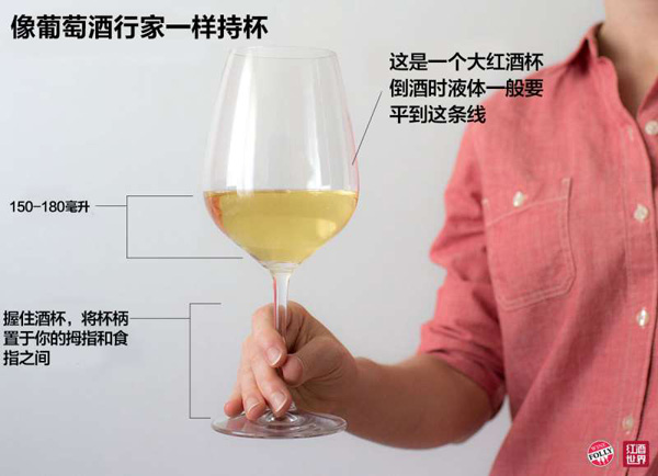 每個人都應該知道的侍酒常識