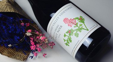 品種、產區和釀酒工藝：10組對比品鑒 助你快速掌握葡萄酒知識