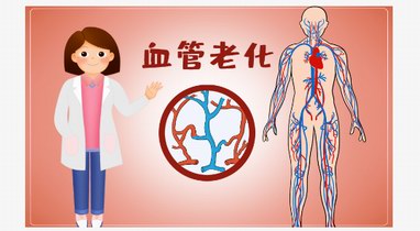 阻止血管老化，抓住抗衰老的關鍵問題