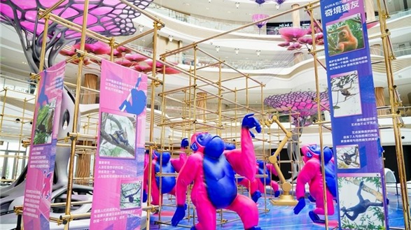 10倍積分年度鉅惠 中免海南超級會員日六店聯動促消費